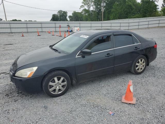 HONDA ACCORD EX 2005 with VIN 1HGCM66585A034004 - Photo from auction