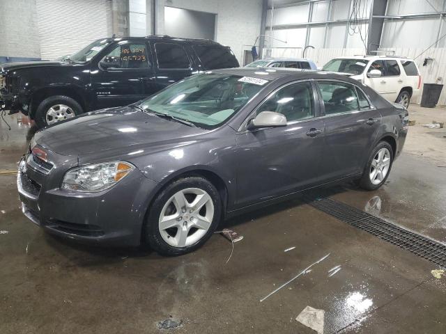 CHEVROLET MALIBU LS 2012 with VIN 1G1ZB5E0XCF291785 - Photo from auction