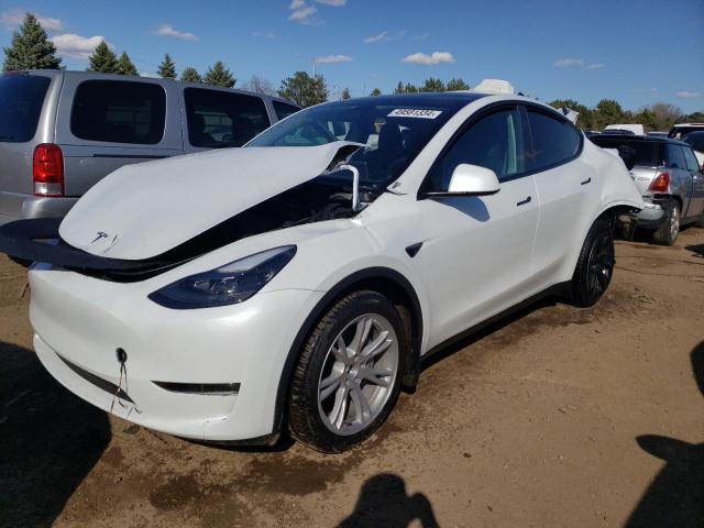 TESLA MODEL Y 2024 with VIN 7SAYGDEE8RA251941 - Photo from auction