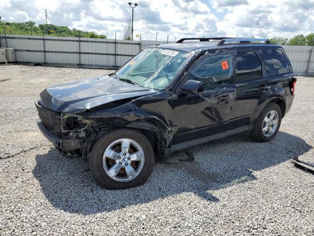 FORD ESCAPE 2011 with VIN 1FMCU0EGXBKC29070 - Photo from auction