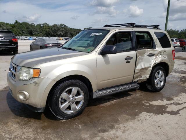 FORD ESCAPE XLT 2010 with VIN 1FMCU0DG4AKC66874 - Photo from auction