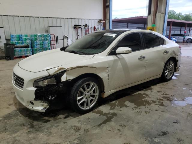 NISSAN MAXIMA S 2011 with VIN 1N4AA5AP6BC810900 - Photo from auction