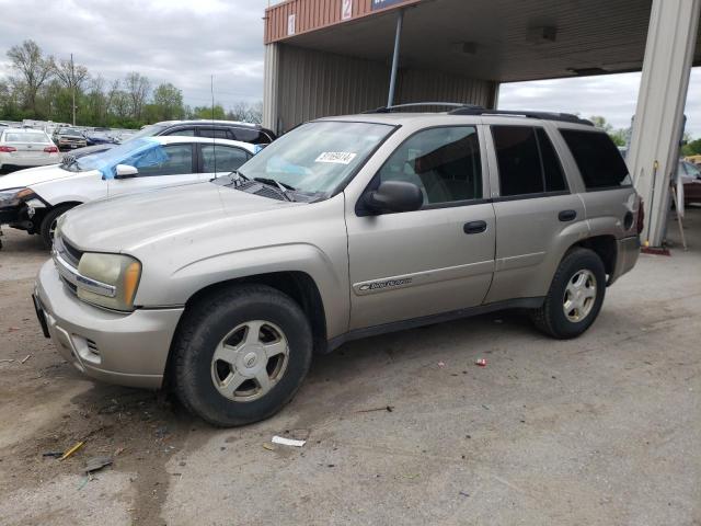 CHEVROLET TRAILBLAZR 2002 with VIN 1GNDT13S522396470 - Photo from auction