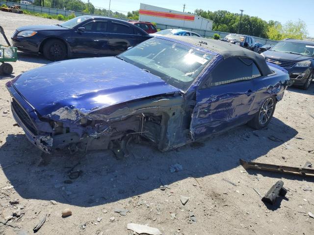 FORD MUSTANG 2014 with VIN 1ZVBP8EM0E5226819 - Photo from auction