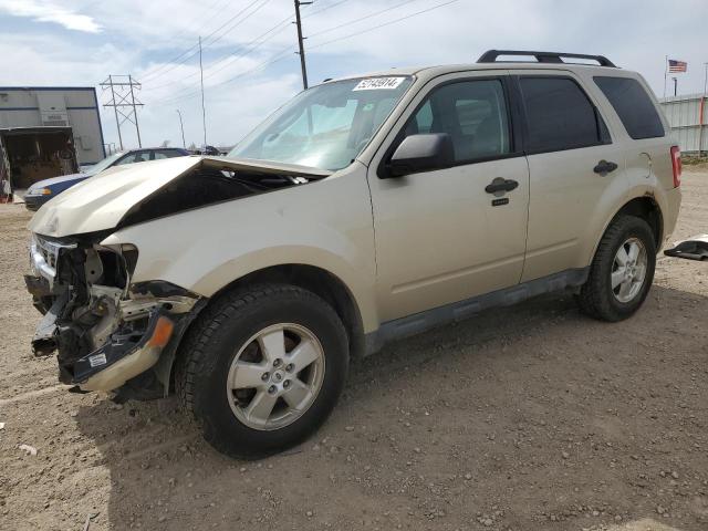 FORD ESCAPE XLT 2010 with VIN 1FMCU9DG7AKD46125 - Photo from auction
