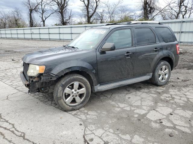 FORD ESCAPE LIM 2009 with VIN 1FMCU04G49KC20828 - Photo from auction