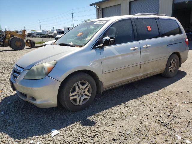 HONDA ODYSSEY EX 2007 with VIN 5FNRL38687B039231 - Photo from auction