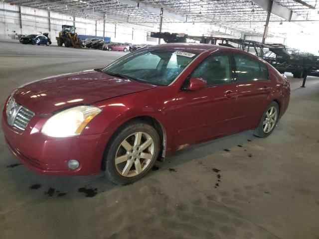 NISSAN MAXIMA SE 2005 with VIN 1N4BA41E35C831575 - Photo from auction