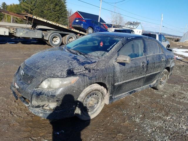 TOYOTA COROLLA BA 2010 with VIN 2T1BU4EE8AC285966 - Photo from auction