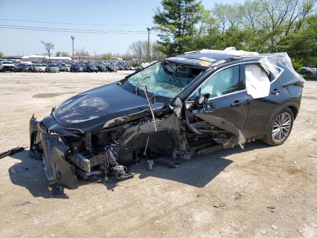 LEXUS NX 350H BA 2024 with VIN 2T2HKCEZ2RC026362 - Photo from auction