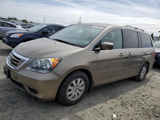 Photo 1 from auction – 2008 HONDA ODYSSEY EX with VIN 5FNRL38758B041500