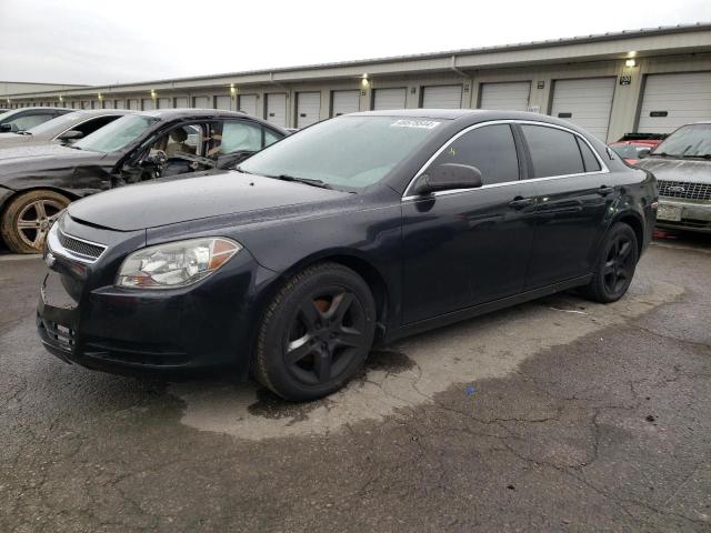 CHEVROLET MALIBU LS 2011 with VIN 1G1ZB5E13BF184200 - Photo from auction