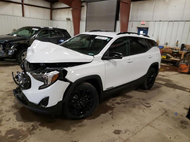 GMC TERRAIN SL 2020 with VIN 3GKALTEV2LL345396 - Photo from auction