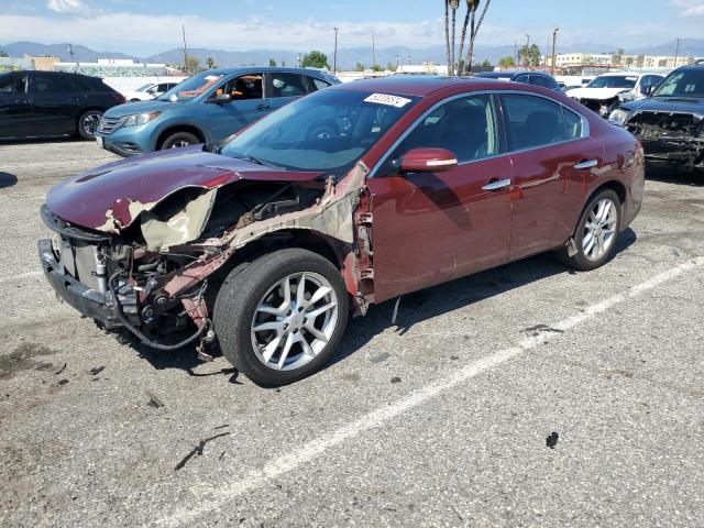 NISSAN MAXIMA S 2010 with VIN 1N4AA5AP2AC819995 - Photo from auction