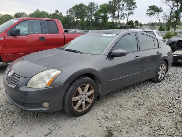 NISSAN MAXIMA SE 2006 with VIN 1N4BA41E16C844147 - Photo from auction