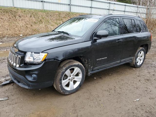 JEEP COMPASS SP 2011 with VIN 1J4NF1FB5BD135905 - Photo from auction