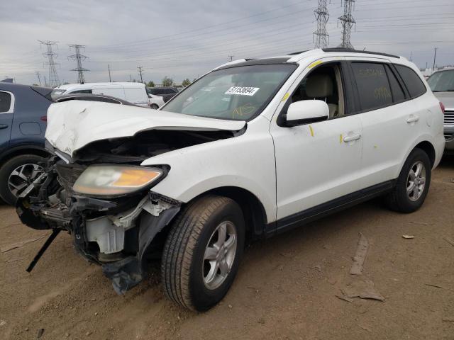 HYUNDAI SANTA FE G 2007 with VIN 5NMSG13D27H069663 - Photo from auction