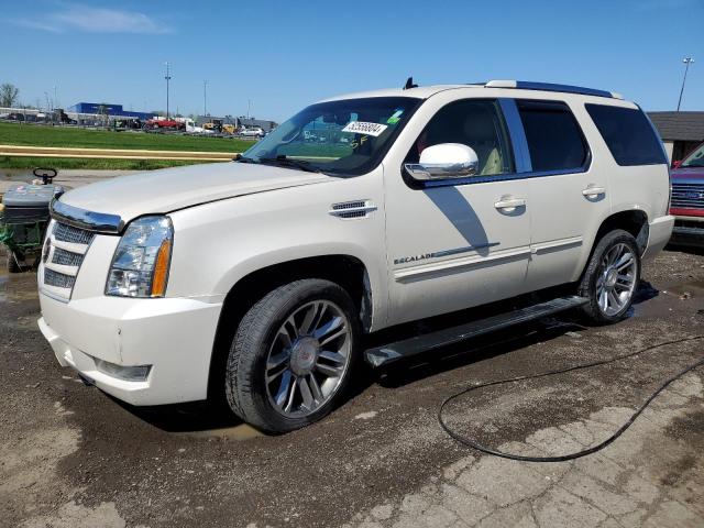 CADILLAC ESCALADE P 2013 with VIN 1GYS4CEF7DR373866 - Photo from auction