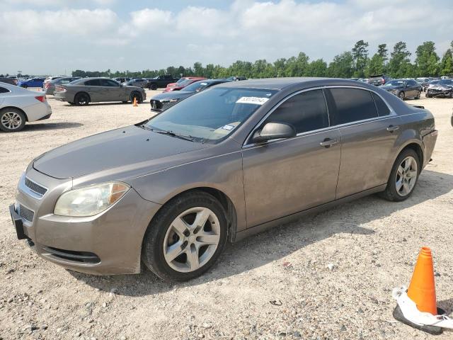 CHEVROLET MALIBU LS 2011 with VIN 1G1ZA5EU5BF226119 - Photo from auction