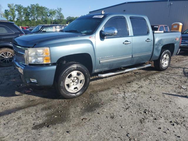 CHEVROLET SILVERADO 2009 with VIN 3GCEK23M59G252118 - Photo from auction