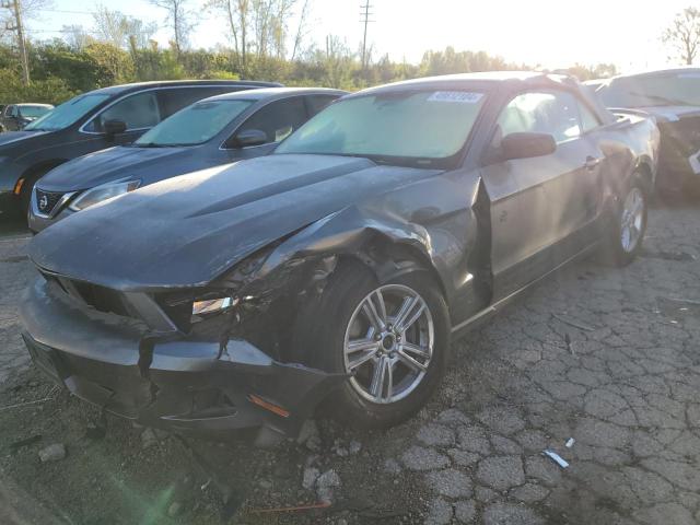 FORD MUSTANG 2011 with VIN 1ZVBP8EM8B5161746 - Photo from auction