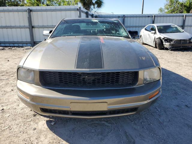 Photo 5 from auction – 2005 FORD MUSTANG with VIN 1ZVFT80N655125412