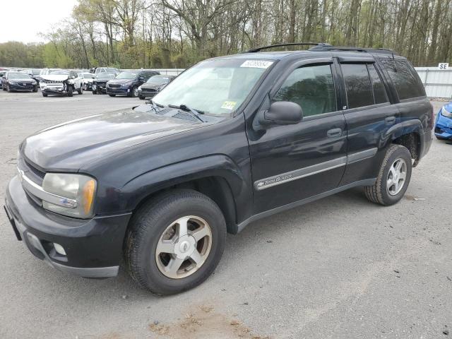 CHEVROLET TRAILBLAZE 2002 with VIN 1GNDT13SX22131138 - Photo from auction