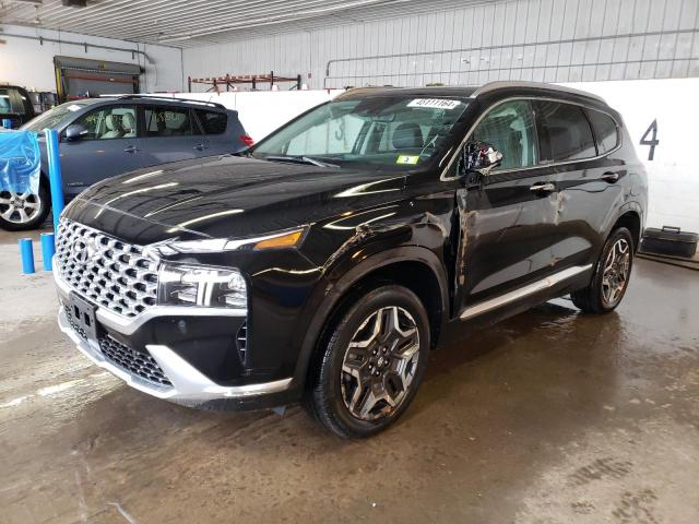 HYUNDAI SANTA FE L 2023 with VIN 5NMS4DAL5PH495786 - Photo from auction