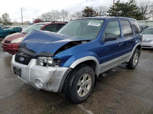Photo 1 from auction – 2007 FORD ESCAPE XLT with VIN 1FMCU93197KB36289