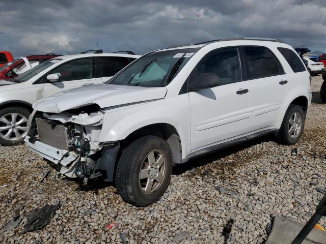 CHEVROLET EQUINOX LS 2005 with VIN 2CNDL13F256084783 - Photo from auction