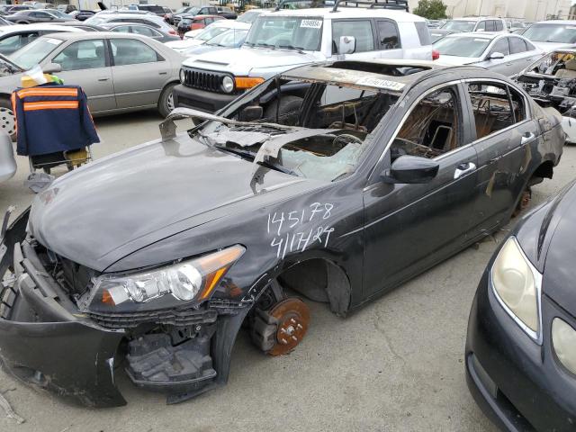 HONDA ACCORD EXL 2010 with VIN 1HGCP3F85AA003528 - Photo from auction