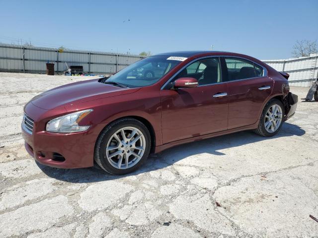 NISSAN MAXIMA S 2009 with VIN 1N4AA51E59C861538 - Photo from auction