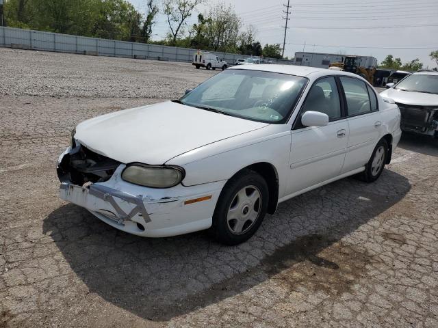CHEVROLET MALIBU LS 2001 with VIN 1G1NE52J516124024 - Photo from auction