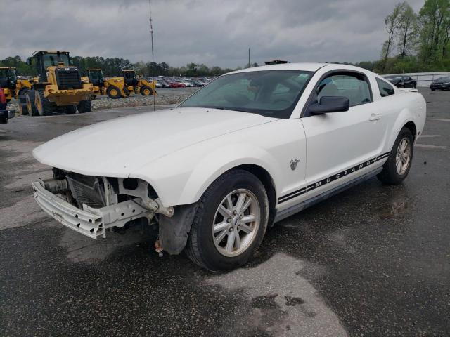 Photo 1 from auction – 2009 FORD MUSTANG with VIN 1ZVHT80N495104587