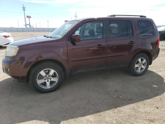 HONDA PILOT EXL 2011 with VIN 5FNYF4H55BB080134 - Photo from auction