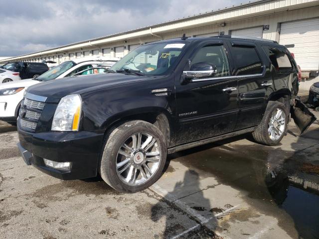 CADILLAC ESCALADE P 2012 with VIN 1GYS4CEF7CR194855 - Photo from auction