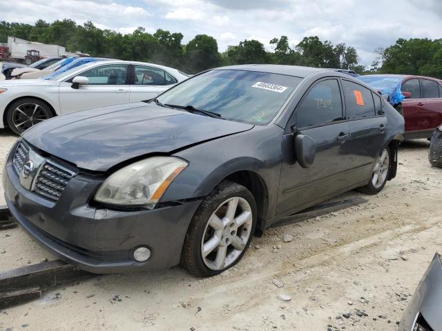 NISSAN MAXIMA SE 2005 with VIN 1N4BA41E05C850018 - Photo from auction