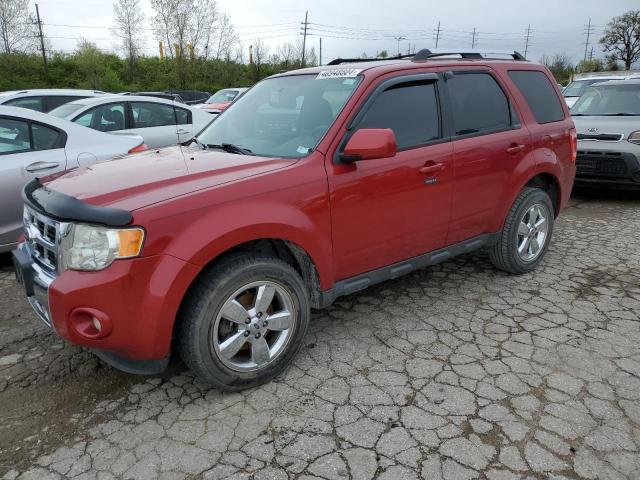 Photo 1 from auction – 2011 FORD ESCAPE LIM with VIN 1FMCU0EGXBKA42184