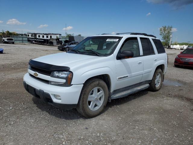 CHEVROLET TRAILBLAZE 2002 with VIN 1GNDT13S922391160 - Photo from auction