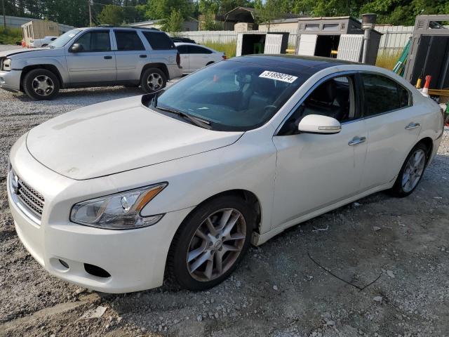 NISSAN MAXIMA S 2010 with VIN 1N4AA5AP4AC838581 - Photo from auction