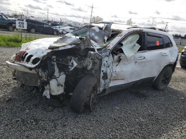 JEEP CHEROKEE 2019 with VIN 1C4PJMLX4KD482012 - Photo from auction