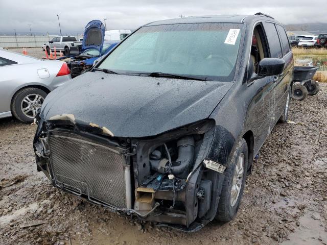 Photo 1 from auction – 2009 HONDA ODYSSEY EX with VIN 5FNRL38779B017345