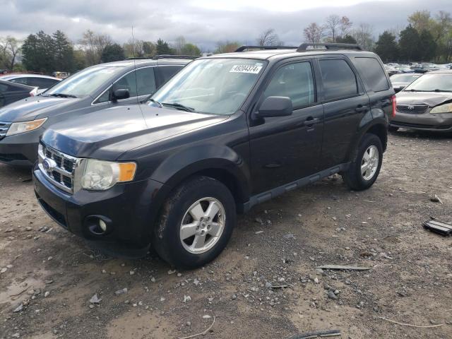 FORD ESCAPE XLT 2011 with VIN 1FMCU0D76BKC31223 - Photo from auction