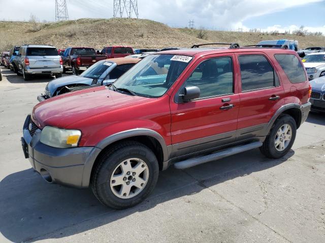 FORD ESCAPE XLT 2006 with VIN 1FMCU93166KA97658 - Photo from auction