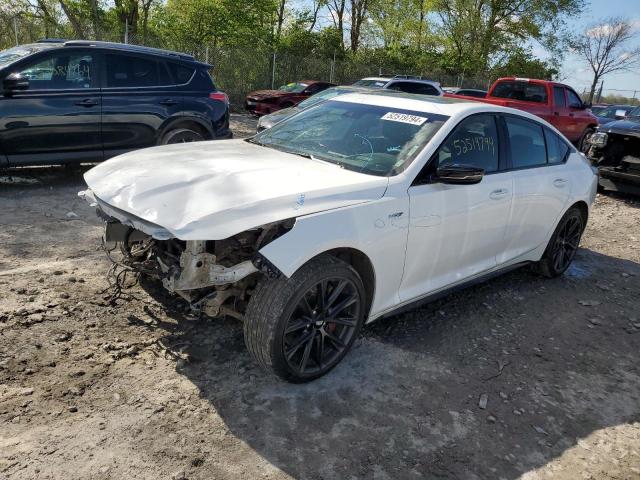CADILLAC CT5-V 2023 with VIN 1G6DV5RW6P0131664 - Photo from auction