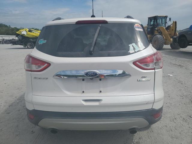 Photo 6 from auction – 2014 FORD ESCAPE SE with VIN 1FMCU0GX6EUD63290