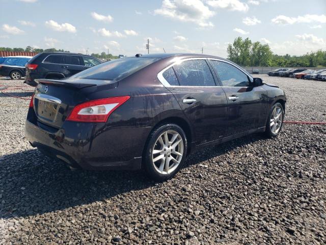 Photo 3 from auction – 2010 NISSAN MAXIMA S with VIN 1N4AA5AP9AC863928