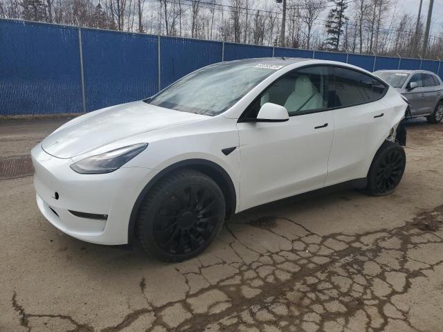 TESLA MODEL Y 2023 with VIN LRWYGDEEXPC228734 - Photo from auction