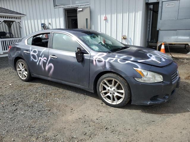 Снимка 4 от търг – 2009 NISSAN MAXIMA S с VIN 1N4AA51E89C835161