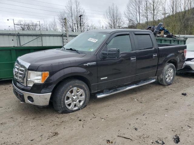 FORD F150 SUPER 2013 with VIN 1FTFW1ET3DFA44191 - Photo from auction